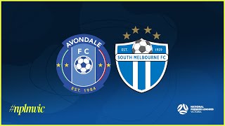 2024 NPLMVIC Round 25 Avondale FC v South Melbourne FC [upl. by Yelnek118]