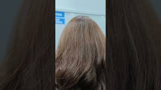 Brown hair color highlight shortvideo [upl. by Wendin]