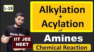 L18 Alkylation  Acylation of Amines  Chemical Reactions  JEE NEET  By Arvind Arora [upl. by Adnilev]