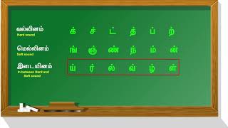 Vallinam Mellinam Idaiyinam MeiEzhuthukkalமெய் எழுத்துக்கள்வல்லினம் மெல்லினம் இடையினம் [upl. by Harbot]