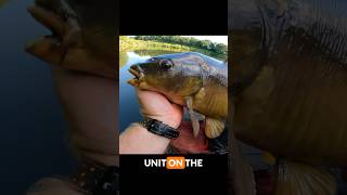 ⁠Guru Pro Feeder Rod Test TackleguruTV [upl. by Nalro235]