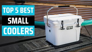 Best Small Coolers 2024  don’t buy one before watching this [upl. by Ennayram782]