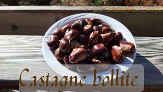 Come si preparano le castagne bollite con pelatura facile ricetta della nonna bontà di bosco [upl. by Aicnilav]