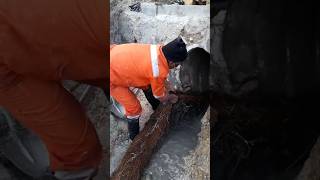 Rescuing the Village Water Spring Removing Tree Roots to Preserve Water Quality and Sustainability [upl. by Athallia]