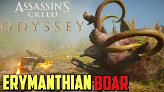 How to Defeat Erymanthian Boar in Assassin’s Creed Odyssey [upl. by Kcirrad]