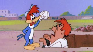 Woodys Foul Ball  Classic Episodes Marathon  Woody Woodpecker [upl. by Survance]