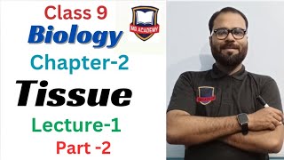 Ch2 Tissue Class9 Based on NCERT syllabus [upl. by Ilujna952]