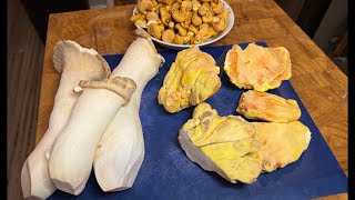 Cooking King Trumpet Pleurotus eryngii Into Vegetarian “Scallops” [upl. by Iverson699]