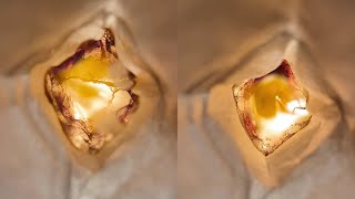 Burning Serenity A Mesmerizing Tea Bag Transformation [upl. by Nyladnohr]