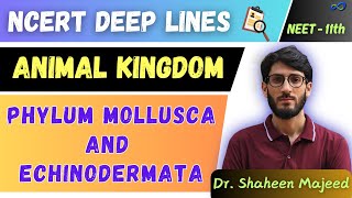 L10 Phylum Mollusca and Echinodermata  Animal Kingdom  11th  NEET  Dr Shaheen Sir [upl. by Ursula602]