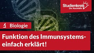 Funktion des Immunsystems  Biologie verstehen mit dem Studienkreis [upl. by Topper]