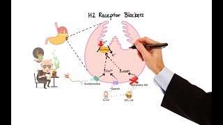 Pharmacology  ANTIHISTAMINES MADE EASY [upl. by Arsuy]