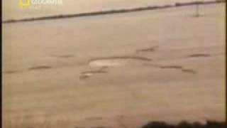 Crop Circle Documentary Part 5 of 5 [upl. by Treacy]