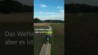 Sonntagsarbeit am Acker shorts landwirtschaft [upl. by Efal]