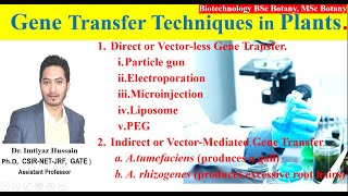 Gene Transfer Methods Techniques in Plants biotechnologyanditsapplications direct ampindirect method [upl. by Adneral77]