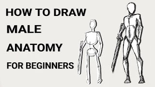 How to draw male body anatomy  Easy anatomy drawing [upl. by Alicirp880]