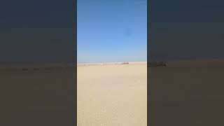 Fishing Trip  Wadi El Rayan  Fayoum  Friday October 25 2024 رحلة صيد وادي الريان الفيوم [upl. by Koby292]