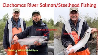 Awesome SalmonSteelhead drift boat fishing on the Clackamas May 21 2024 [upl. by Aniarrol595]