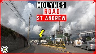 Molynes Road St Andrew Jamaica [upl. by Newg6]