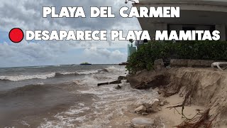 PLAYA DEL CARMEN SE ESTA QUEDANDO SIN PLAYA  12 JUNIO 2024 [upl. by Yllib]