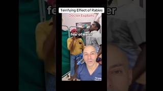 Doctor Explains  Rabies Scary Effects [upl. by Nivlek]