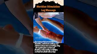 Meridian Stimulation Leg Massage legmassage relievefatigue slimlegs healthylegs homemassage [upl. by Schargel]