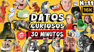 30 MINUTOS de DATOS CURIOSOS y COSAS QUE NO SABÍAS ⏰😲 11 Pancho el Curioso [upl. by Albert58]