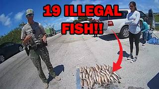 Illegal Fish Lead to 4 Misdemeanor Charges [upl. by Emlen]