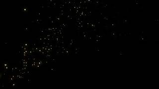 Golden Star Confetti Cannon Burst Over Black Background 4K Free [upl. by Mokas]