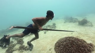 EARTH DAY DIARY – Badjao Spearfishermen Spearfishing in Bohol Philippines [upl. by Dorisa337]