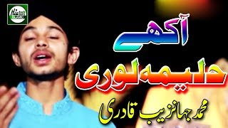 AAKHEY HALIMA LOHRI  MUHAMMAD JAHANZAIB QADRI  OFFICIAL HD VIDEO  HITECH ISLAMIC [upl. by Oniotna]