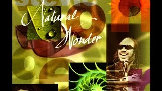 Stevie WonderPastime Paradise LIVE in JAPAN Good sound [upl. by Eldrida]