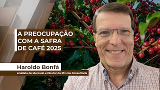 Mesmo com fundamentos baixistas mercado cafeeiro mantém tendência de alta nas cotações futuras [upl. by Nawrocki]