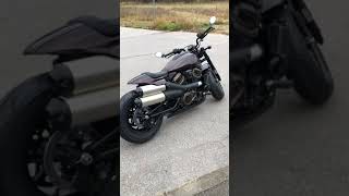 Sportster S Harley Davidson Exhaust Sound walkaround short cutout  Start up  Sound Check [upl. by Anital454]