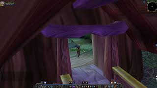 Arch Druid Fandral Staghelm Location WoW Classic [upl. by Aleakim]