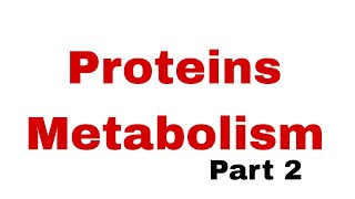 12th Biochemistry Lecture  Proteins Metabolism  Part 2 [upl. by Enirhtak424]