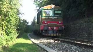 Sebino Express con la D445 1050 a Paratico  15 settembre 2024 [upl. by Ida]