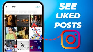 How To See Liked Posts on Instagram UPDATED 2024  See Photos You Liked On Instagram [upl. by Arinayed]