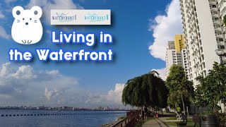 Punggol Northshore Waterfront BTO  Waterfront Living in Singapore  Singapore Housing [upl. by Ahsiel]