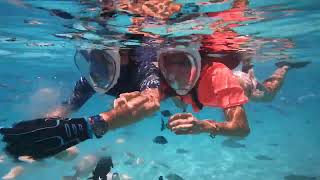 Snorkeling alle Maldive  Rashdoo [upl. by Trillby]