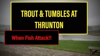 Fly Fishing For Trout Thrunton Fishery [upl. by Soinotna]