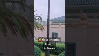 🇰🇷🍊3 day Trip to Jeju Island Without a Car  art museum aesthetic cafes what I ate  Korea VLOG [upl. by Llewkcor398]