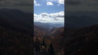 Fall colors in Smokies [upl. by Eilraep764]