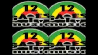 DANCEHALL INSTRUMENTAL RIDDIM  Chest REGGAE Riddim 2012 [upl. by Irrol]