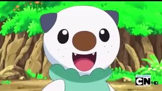 Oshawott Best Moments [upl. by Nuy176]