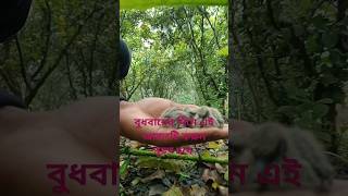 বুধবারে দিন এই আমলটি করুন গায়েব থেকে আপনার জন্য সাহায্য আসবে ইনশাল্লাহ [upl. by Ruomyes660]