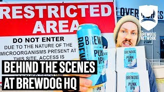 Behind the Scenes at BrewDog [upl. by Janina155]