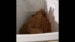 How to Pasteurise Coco Coir for Mushroom Substrate  easy [upl. by Georgette]