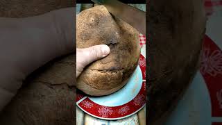 Homemade Cafone Bread and Fresh Olive Oil  A True Southern Italian Snack [upl. by Eeruhs]