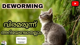 How to deworm a cat in Malayalam 🤔  പൂച്ചയെ എങ്ങനെ ഡിവോം ചെയ്യാം  Friendly Pets Malayalam [upl. by Aday744]